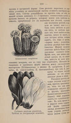 Ределин М. Дом и хозяйство: Руководство к рациональному ведению домашнего хозяйства в городе и в деревне. СПб., 1897.
